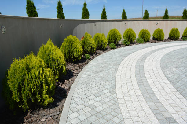 Best Concrete Paver Driveway  in Belcourt, ND